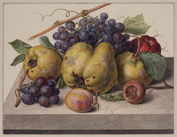 X 072
<br/>
Fruitstilleven op marmeren tafelblad
<br/>
<em>Schwegman, Hendrik (1761-1816)</em>